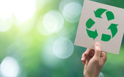 O SEGMENTO DE RECICLAGEM EM PORTUGAL